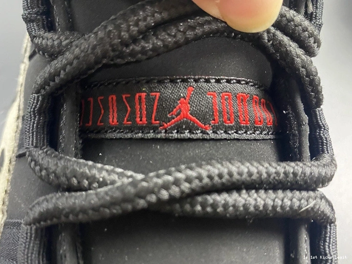 Instinct Air AR0715-010 11 Animal Jordan 1217